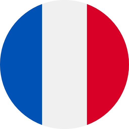 Flagge Frankreich Icon