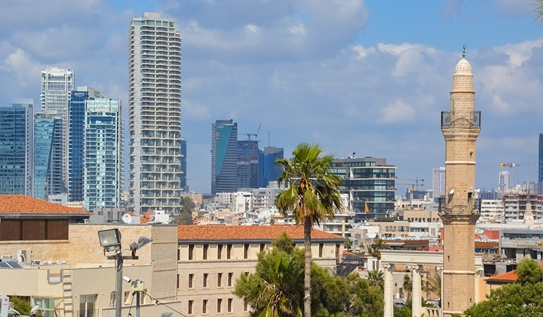 EMEA Master Degree Program EMEA Master Degree Program